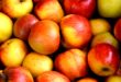 Les pommes de supermarché peuvent avoir plus d’un an