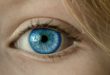 L’oeil humain peut percevoir de 2,5 à 7,5 millions de couleurs différentes