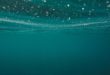 La plus grande cascade du monde est sous l’eau
