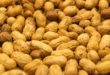 Les cacahuètes sont des légumes