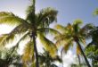 La République dominicaine n’a pas de nom de pays