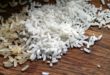 Plus d’1/5 de toutes les calories consommées par les humains dans le monde est fournie par le riz