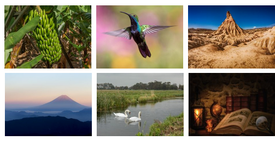 banniere le-saviez-vous 6