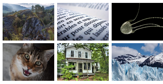 banniere le-saviez-vous 9